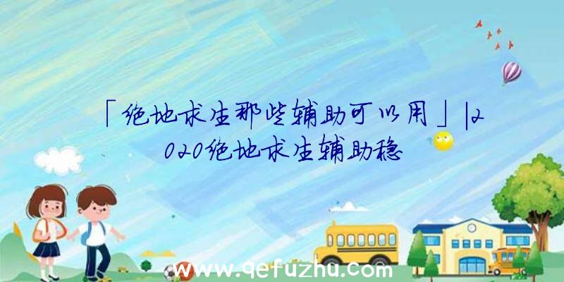 「绝地求生那些辅助可以用」|2020绝地求生辅助稳